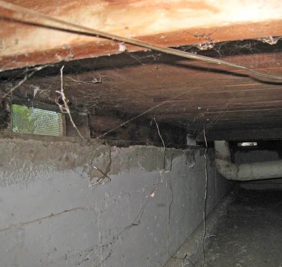 Crawlspace Water Extraction in Brockton, MA